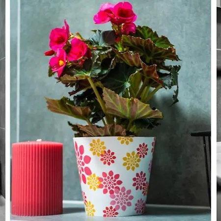 Homely Place Centrum - Stary Rynek - Parking *